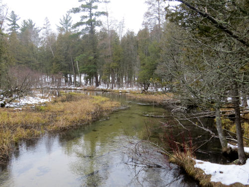 Big Sable River from the Vince Smith Bridge