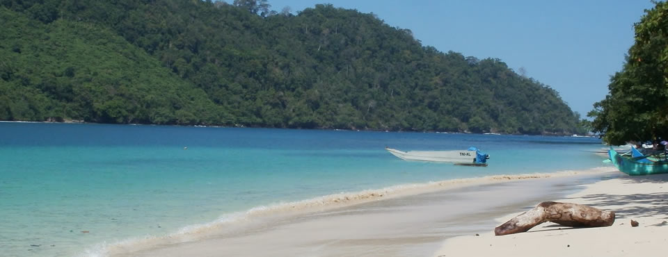 Teluk Kiluan  Lampung Pantai  Alami dan Surga Lumba Lumba 