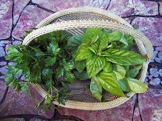 Basket of Bright Green Basil and Dark Green Parsley