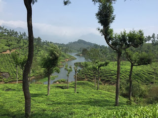 munnar kerala