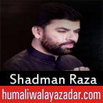 https://www.humaliwalayazadar.com/2018/06/shadman-raza-ramzan-noha-2018.html