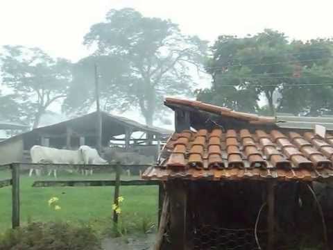 ceara-registra-chuva-em-mais-de-100-municipios 