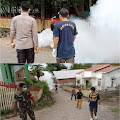 Antisipasi DBD, Cikungunya, Pemdes Boke Adakan Fogging Bersama PKM Sape | taroainfo 