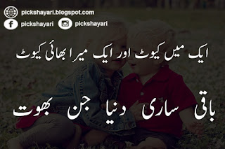 Sister and Brother Love Quotes in Urdu