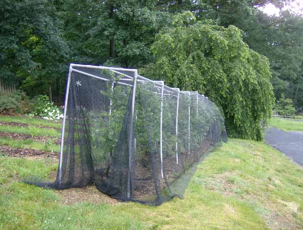 Bird Netting Frame