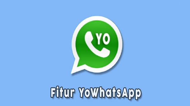 YoWhatsApp