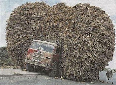 heavy load truck india