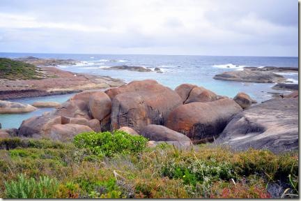 elephant cove