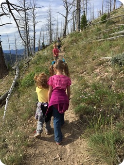 Hiking Bunsen Peak