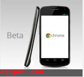Google Chrome Free Download