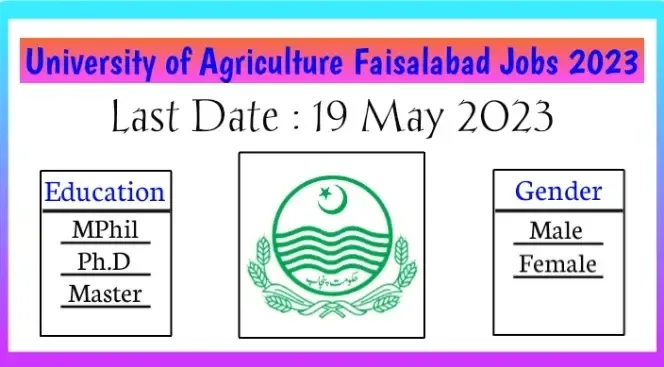 University of Agriculture Faislabad Jobs 2023