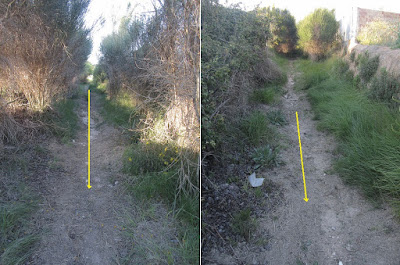 Vilafranca del Penedès a La Bisbal del Penedès - ruta Castellera, de plaça a plaça; corriol a La Bisbal del Penedès