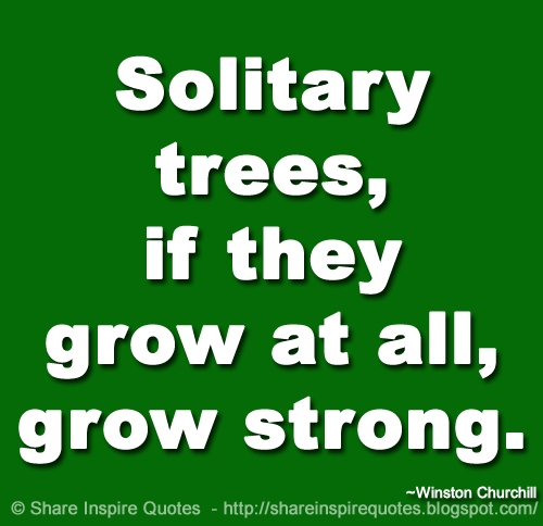 Solitary trees, if they grow at all, grow strong. ~Winston Churchill