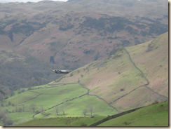 image_thumb12
