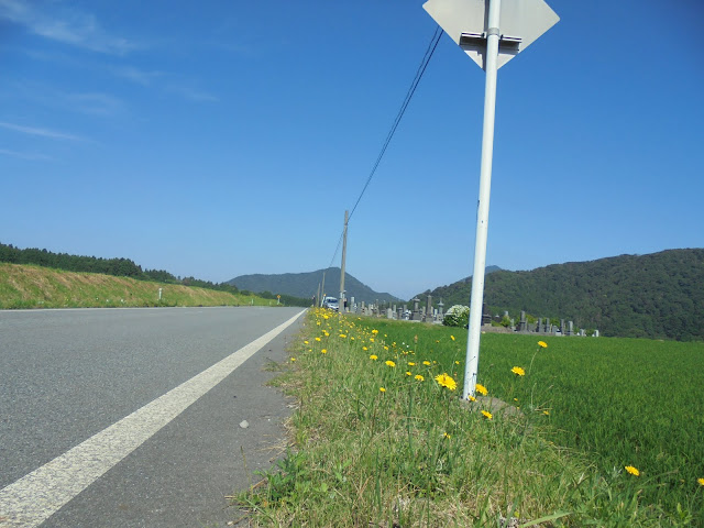 ３１４道路を別荘地方向へ歩きます