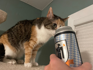 Purrl sniffing my can of beer.