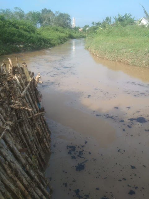 Siapa yang Bertanggung Jawab,Tumpahan Minyak Hitamkan Sungai Kelekar