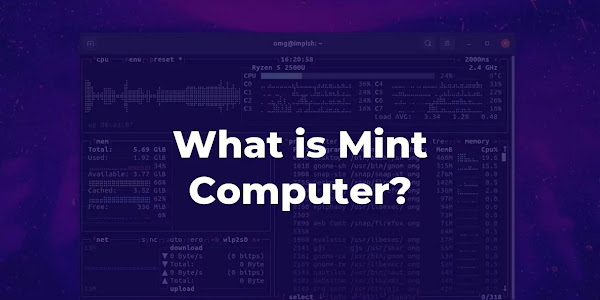 What is Mint Computer?