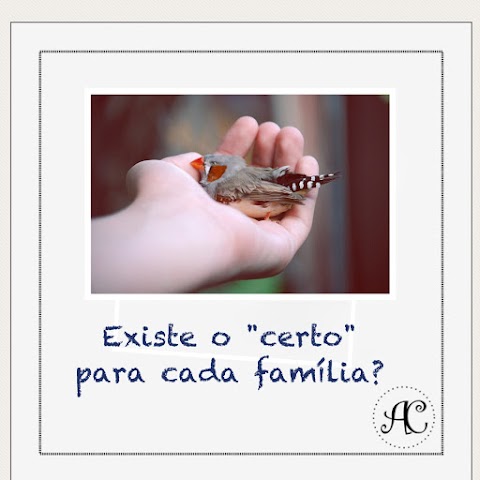 Existe o "certo" para cada família?