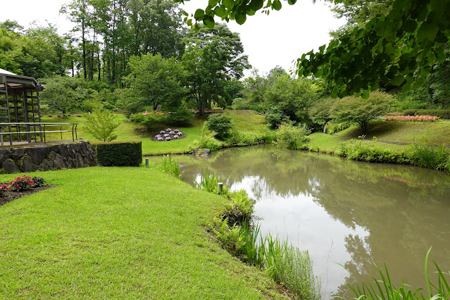 鳥取県西伯郡南部町鶴田 とっとり花回廊 花の谷