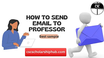 HOW DO YOU WRITE AND SEND PROFESSIONAL EMAILS TO PROFESSOR 2024-2025