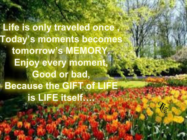 Life is only traveled once, today's moments becomes tomorrow's memory. Enjoy every moment, good or bad, because the gift of life is life itself...