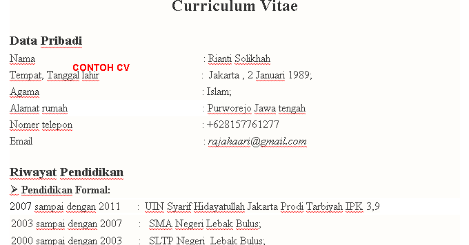 Contoh CV / Curriculum Citae Yang Baik Bahasa Indonesia 