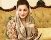 Maryam Nawaz's plea to appear in court and ask for half a glass of water