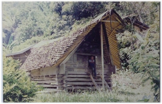 Rumah Adat Toraja