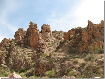 2012-03-28 Beaver Dam Wilderness, AZ (32)