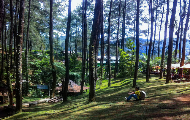 Terminal Wisata Grafika Cikole - Resort Hobbit di Lembang  !