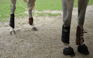 equipamentos-cavalo-team-roping