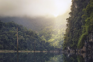 taman nasioan indonesia