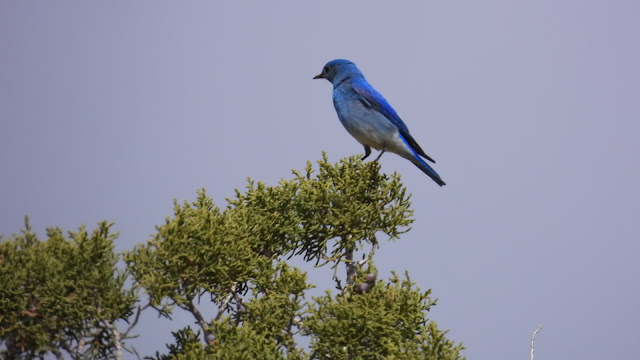Kodachrome Basin State Park