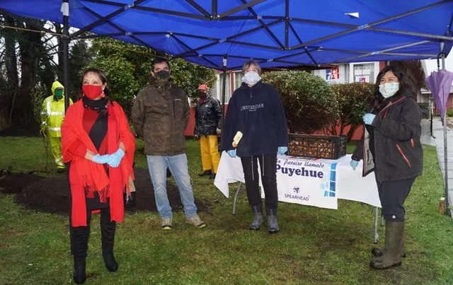 Entre Lagos inició proyecto de arborización y hermoseamiento en Puyehue