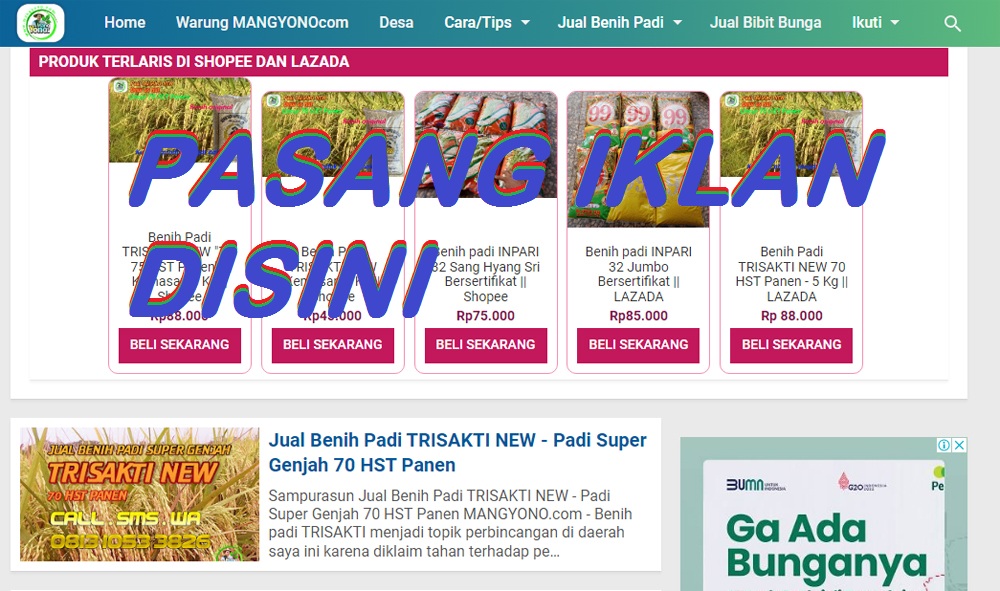 Pasang Iklan di Blog Mang Yono