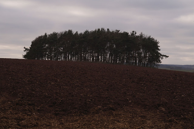 circular walk to Edenhall