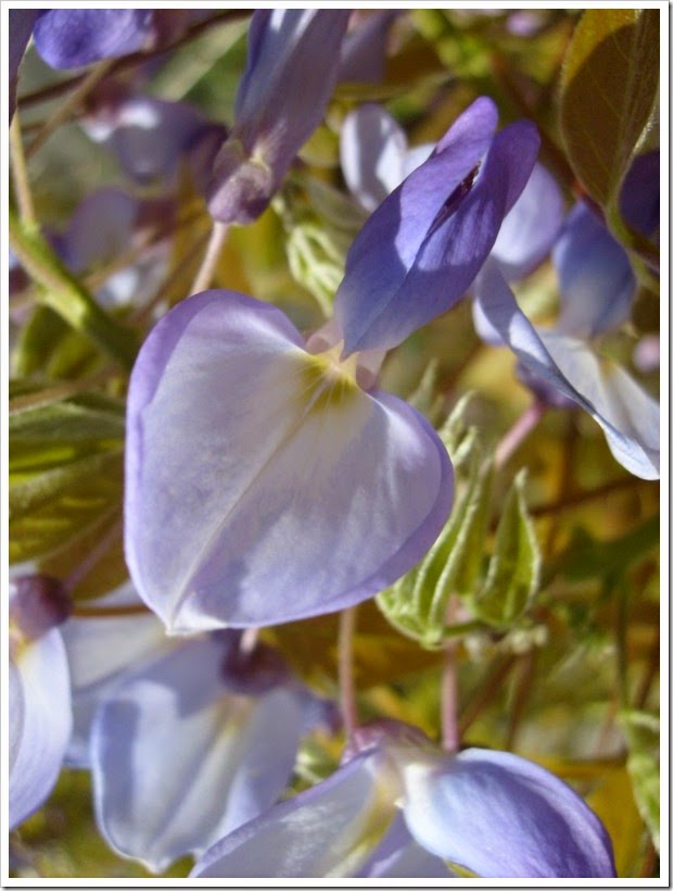 2015-04-22 008