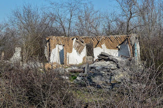 Сухий Яр. Покровський р-н. Вулиця Калинова. Покинуті будинки