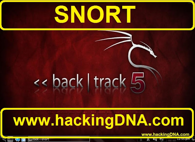 snort on backtrack 5