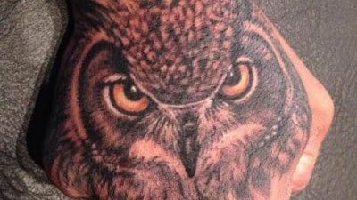 Owl tattoos ideas + design รอยสักรูปนกฮูก