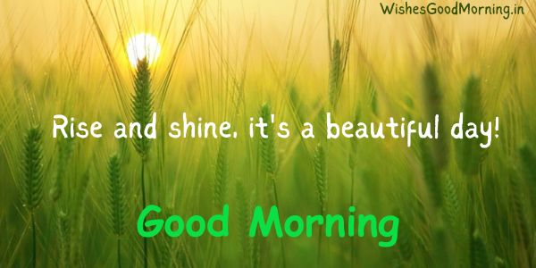 Wishes Good Morning
