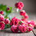 Fresh Roses - Roses Online Delivery - Riyadh