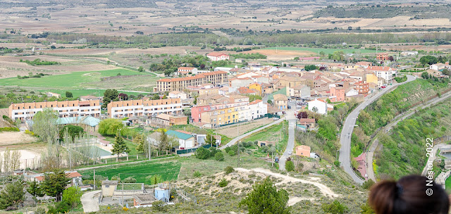 El Cortijo, Logroño, La Rioja, Los Cejotas