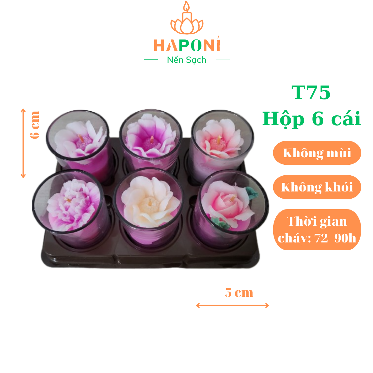 Hộp 6 cái nến hoa trang trí HAPONI Candle T75