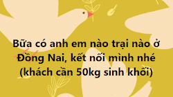Cần gấp 50kg trùn quế giống ở Đồng Nai