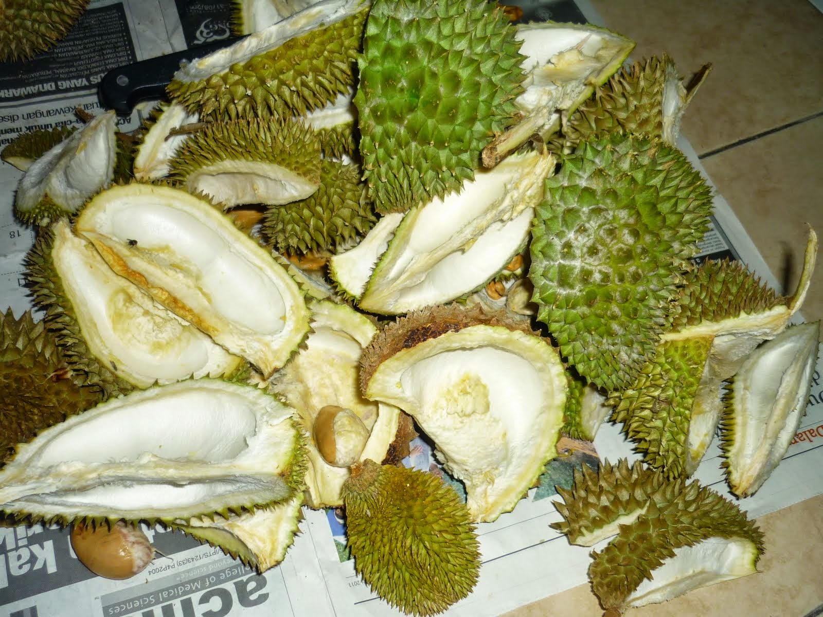 Koleksi 82 Meme Lucu Tentang Durian Terbaik Dan Terupdate