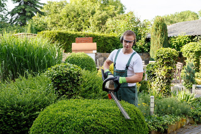 From Yards to Estates: The Art of Lawn Maintenance Unveiled