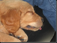Picture 061