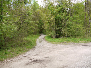 Westlicher Römerstraßenaufstieg beim Georgenstein